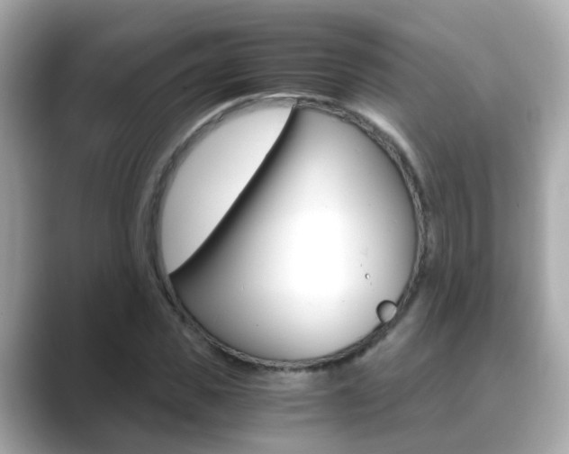 X0000089690925200706210831