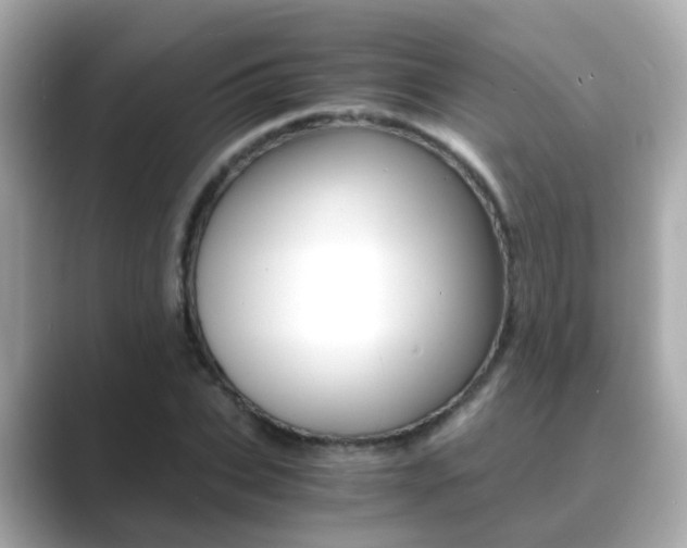 X0000089690927200706210831
