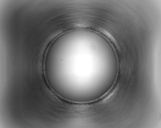 X0000089690930200706210831