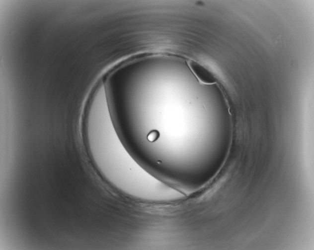 X0000089690932200706210831