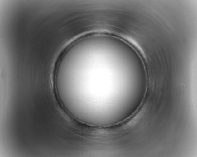 X0000089690935200706210831