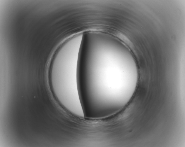 X0000089690939200706210831