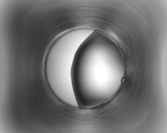 X0000089690940200706210831