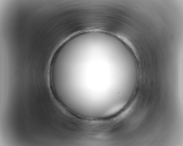 X0000089690941200706210831