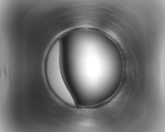 X0000089690942200706210831