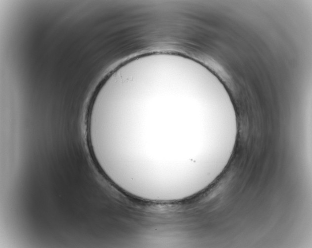 X0000089690950200706210831