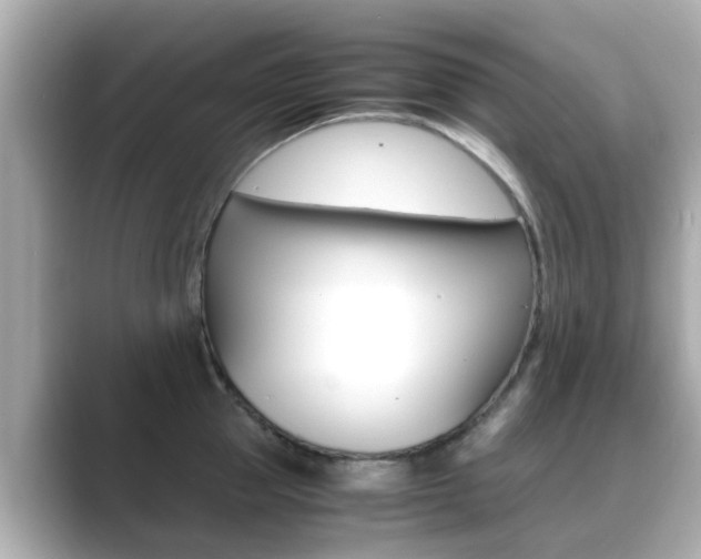 X0000089690953200706210831