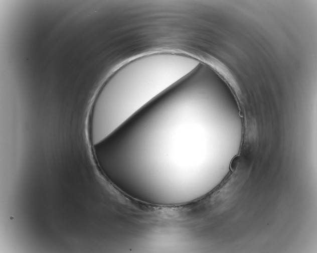 X0000089690958200706210831