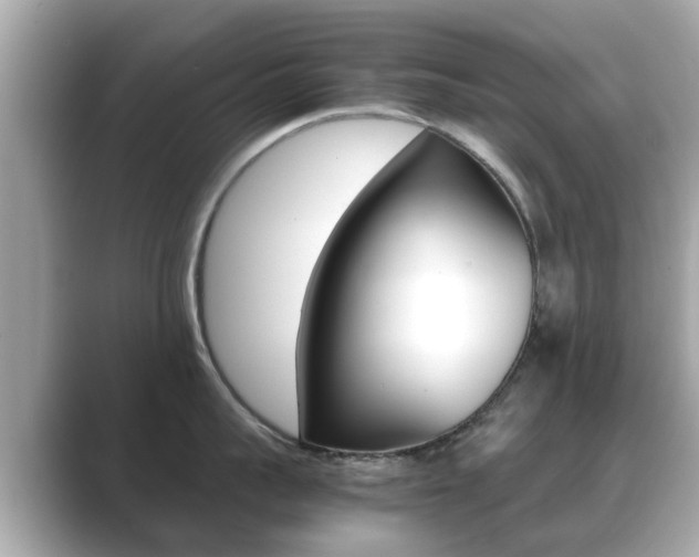 X0000089690959200706210831