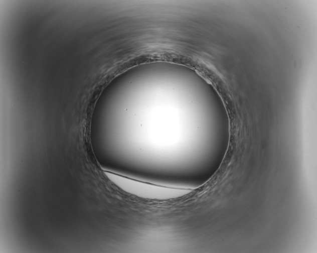 X0000089690965200706210831