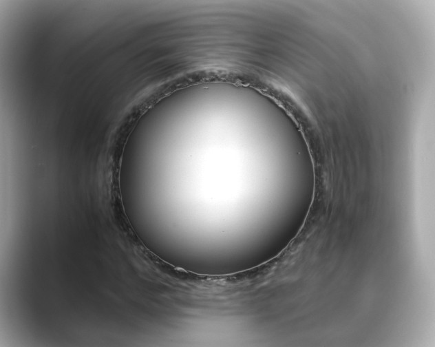 X0000089690968200706210831