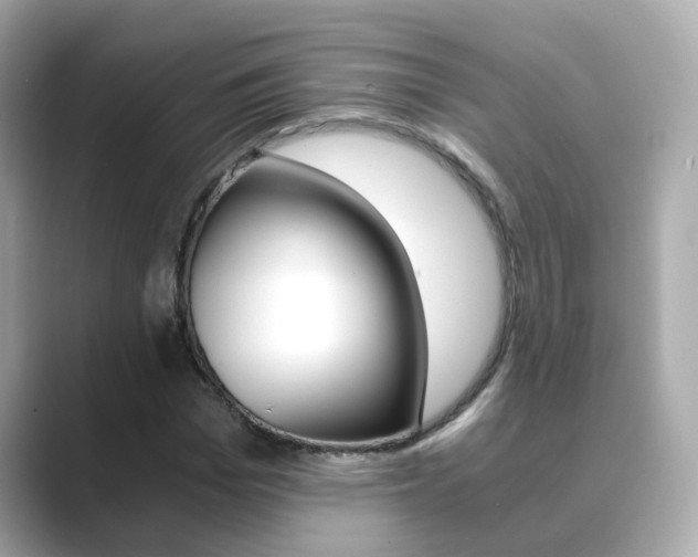 X0000089690969200706210831