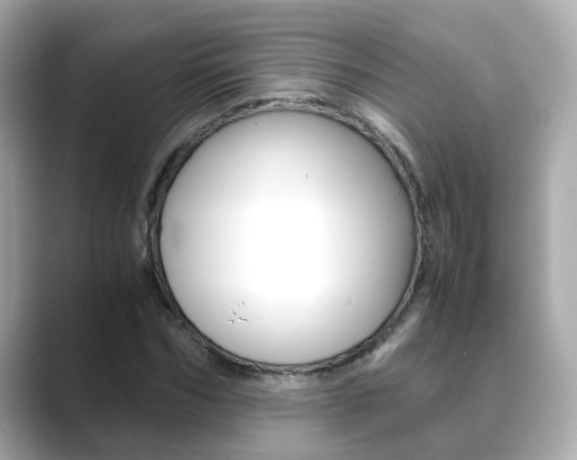 X0000089690970200706210831