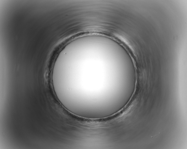 X0000089690971200706210831