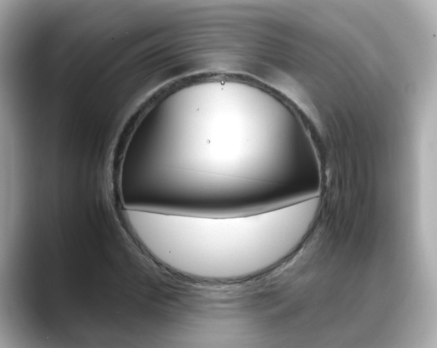 X0000089690972200706210831