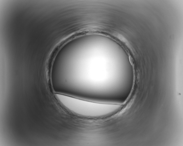 X0000089690973200706210831
