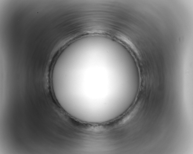 X0000089690978200706210831