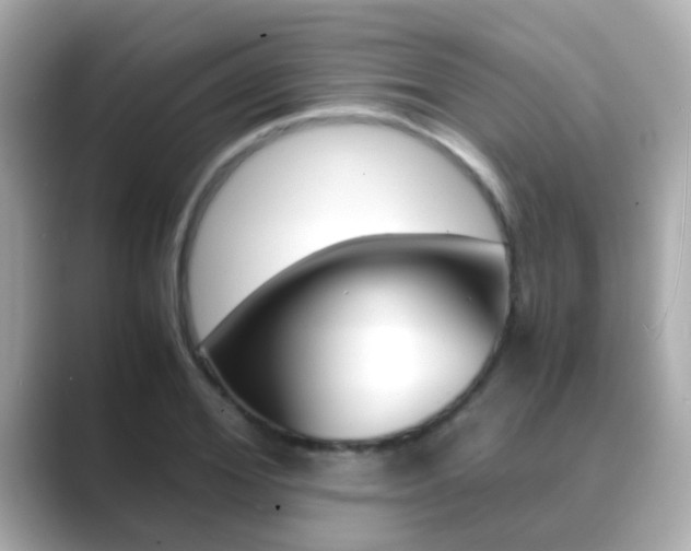 X0000089690980200706210830