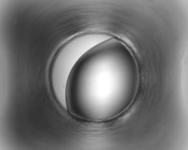 X0000089690981200706210830