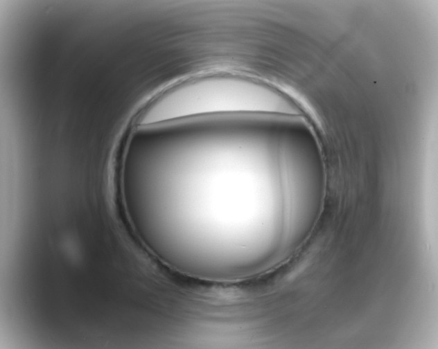 X0000089690983200706210830