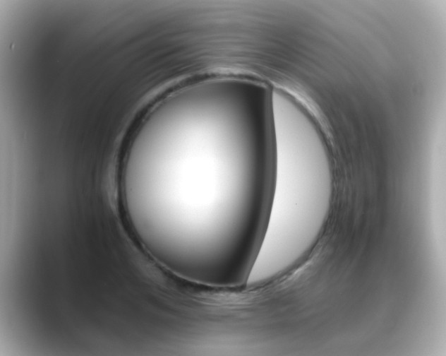 X0000089690984200706210830