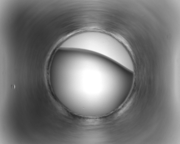 X0000089690989200706210830