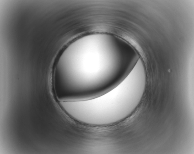 X0000089690992200706210830