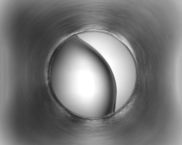X0000089690997200706210830