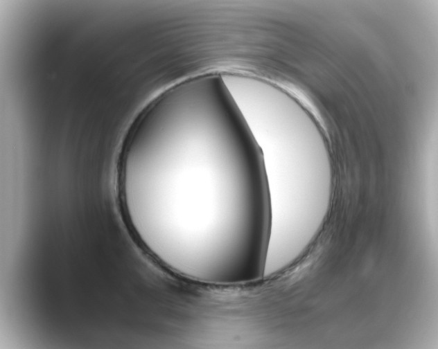 X0000089690999200706210830