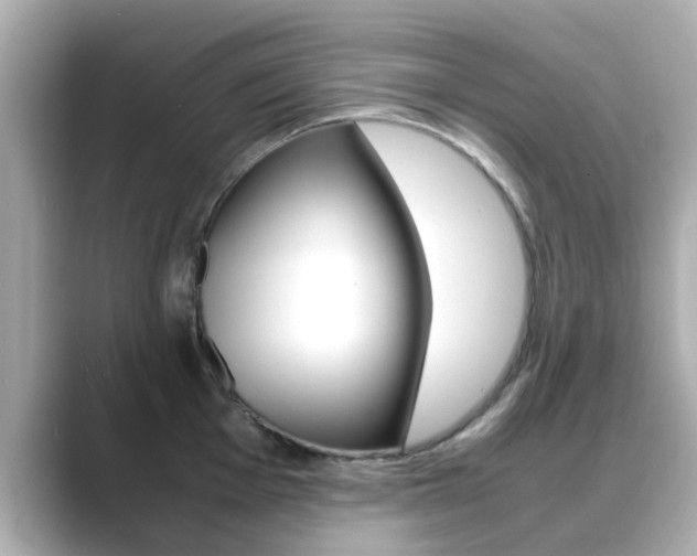 X0000089691001200706210830