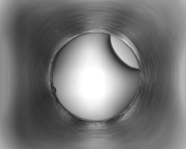 X0000089691002200706210830