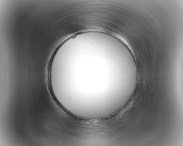 X0000089691003200706210830