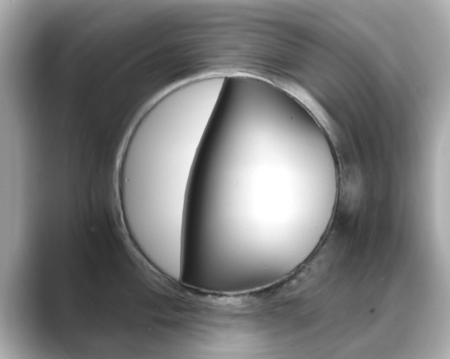 X0000089691004200706210830