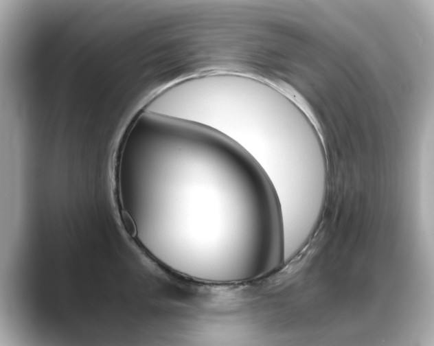 X0000089691005200706210830