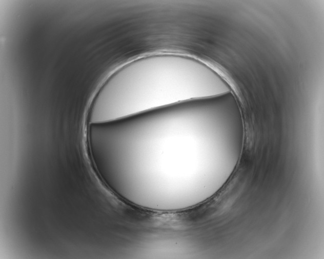 X0000089691006200706210830