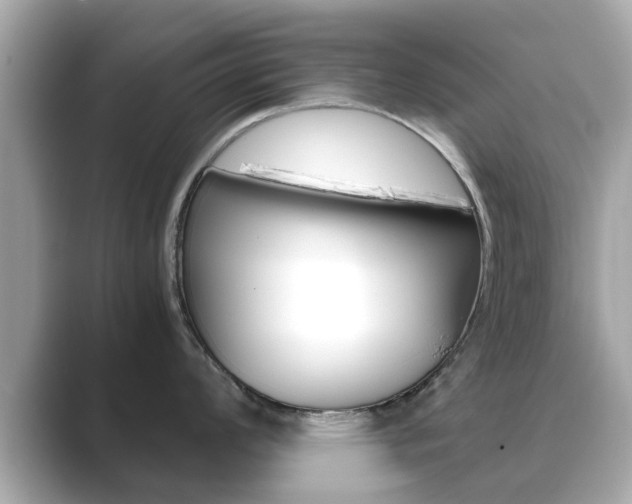 X0000089691008200706210830