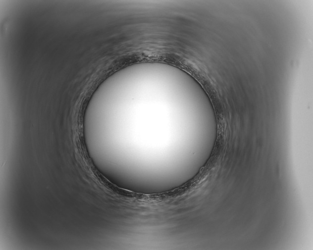 X0000089691009200706210829