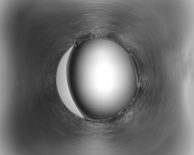 X0000089691010200706210830