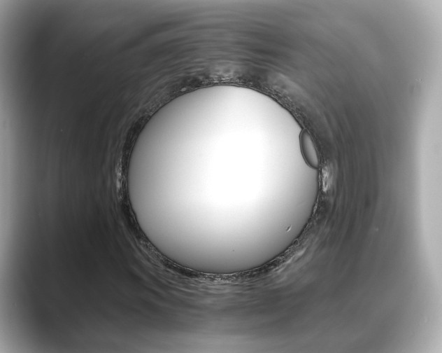 X0000089691011200706210830