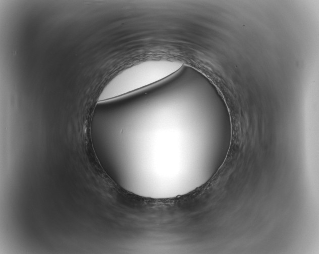 X0000089691013200706210830