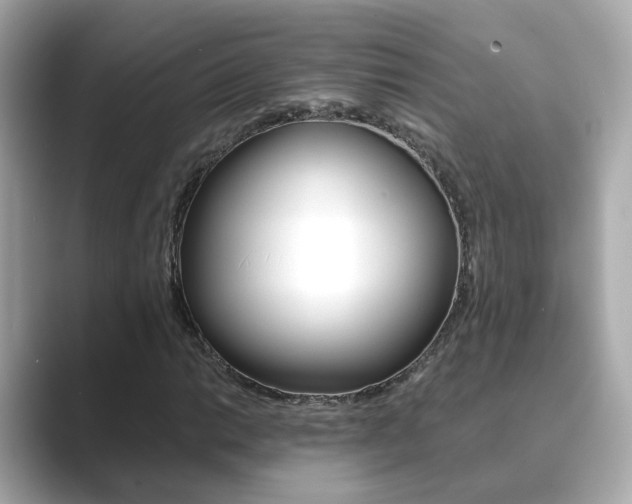X0000089691014200706210830