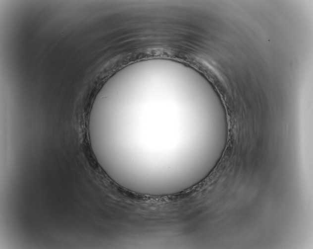 X0000089691015200706210830