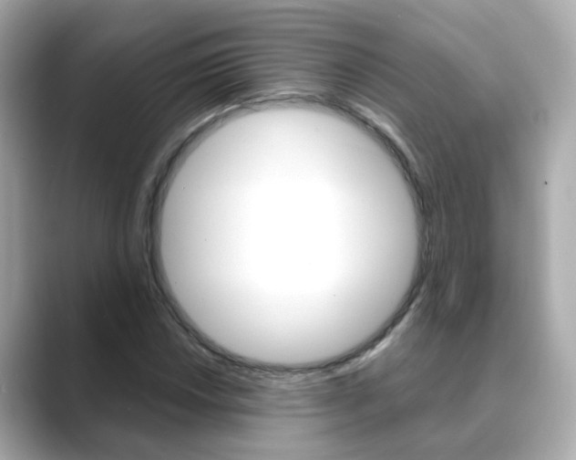 X0000089691018200706210830