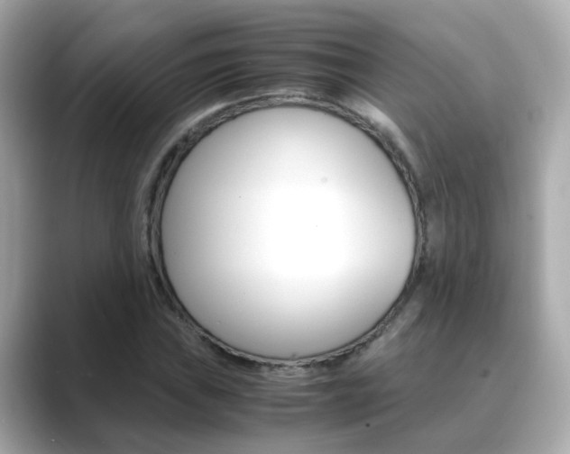 X0000089691019200706210830