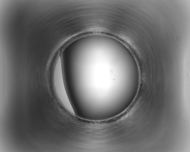 X0000089691022200706210830