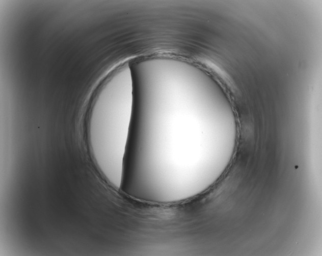 X0000089691023200706210830