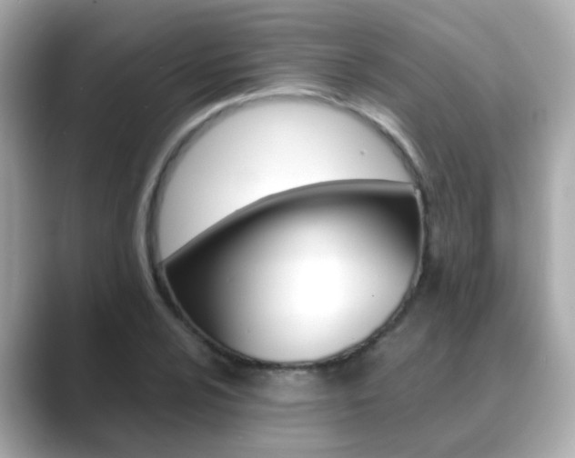 X0000089691024200706210830