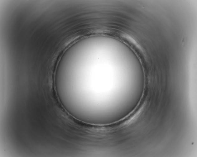 X0000089691025200706210830