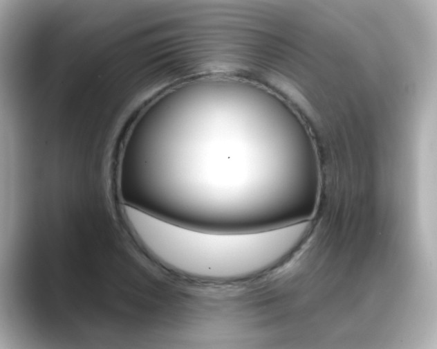 X0000089691026200706210830