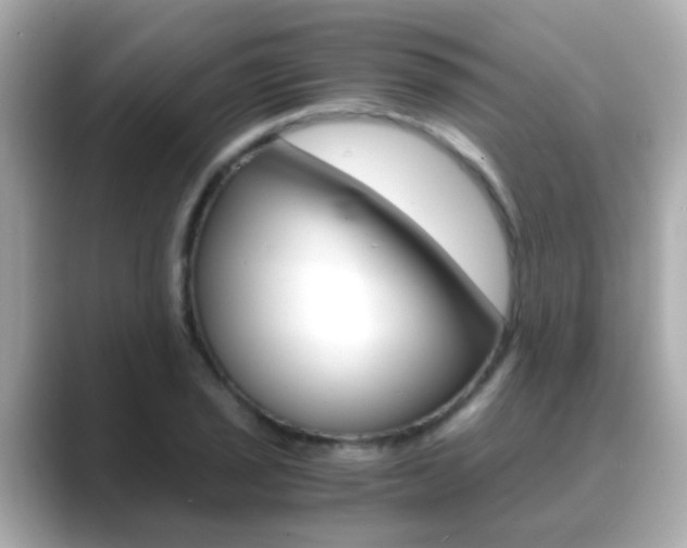 X0000089691029200706210830